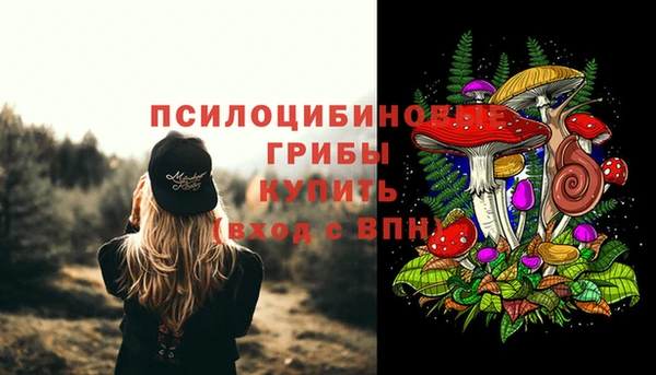 герыч Алзамай