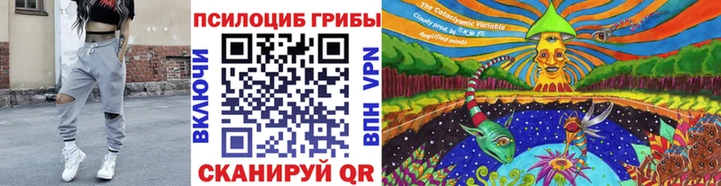 где можно купить наркотик  Исилькуль  Галлюциногенные грибы GOLDEN TEACHER 
